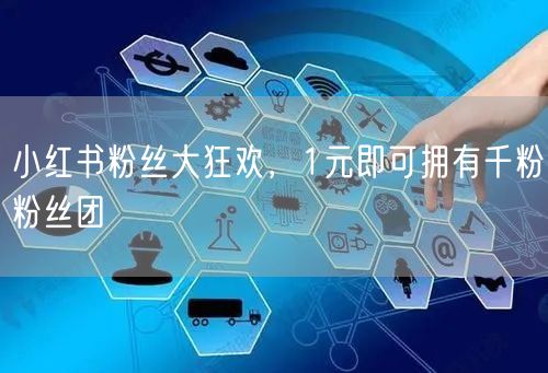 小红书粉丝大狂欢，1元即可拥有千粉粉丝团