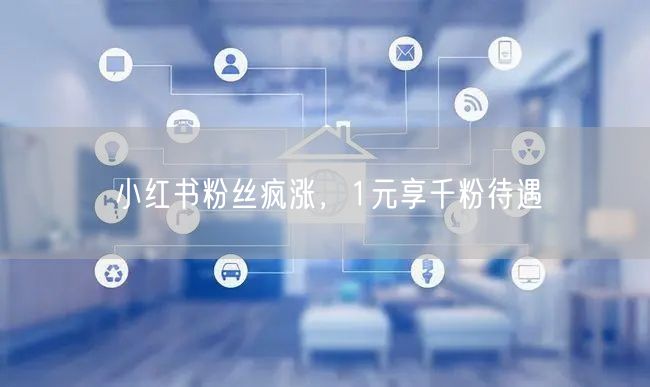 小红书粉丝疯涨，1元享千粉待遇