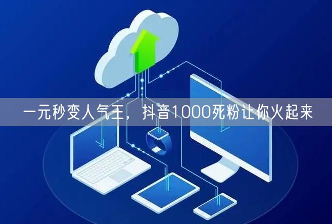 一元秒变人气王，抖音1000死粉让你火起来