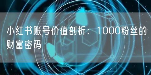 小红书账号价值剖析：1000粉丝的财富密码