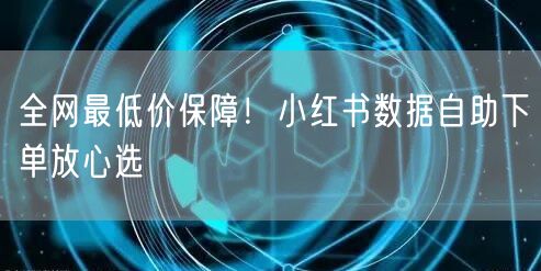 全网最低价保障！小红书数据自助下单放心选