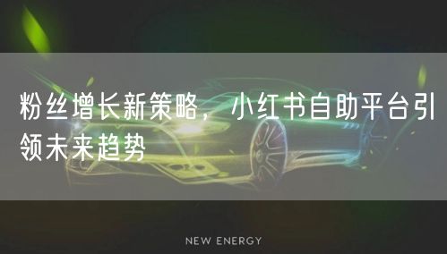 粉丝增长新策略，小红书自助平台引领未来趋势